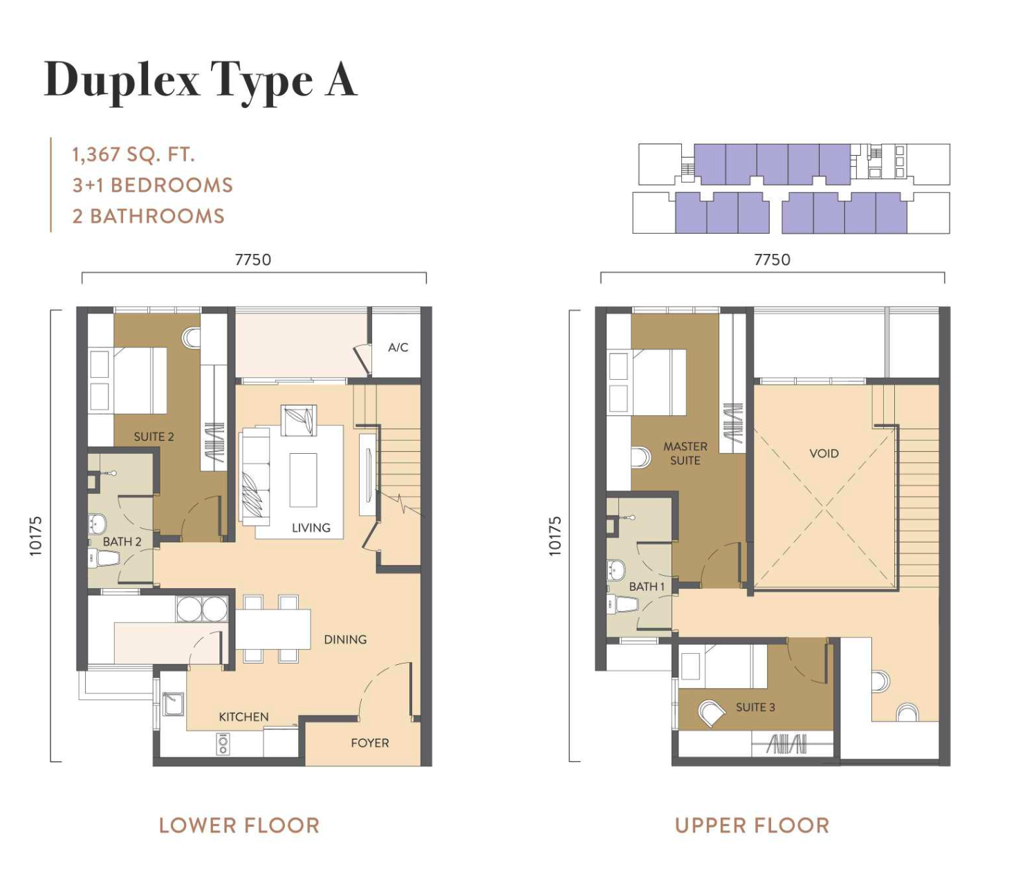 Duplex Type A visual